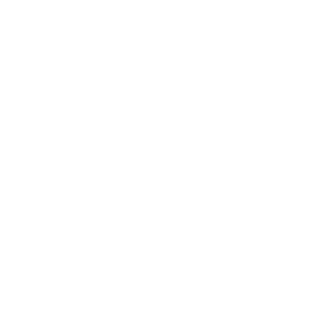 athletes for palestine logo